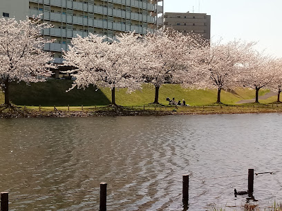 Kyunaka River Waterside Park