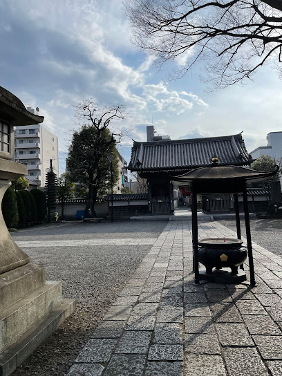 総持寺のけやき