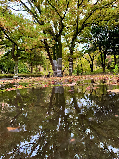 四季の香公園 巨木広場