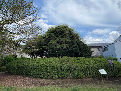 Kitami Inarizuka Tumulus