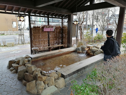 Baño pies/ bath feet hot spring. Hida Hanasato