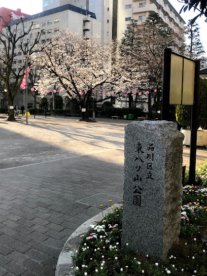 Higashi-Yatsuyama Park