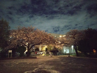 Kizukisumiyoshiminami Park