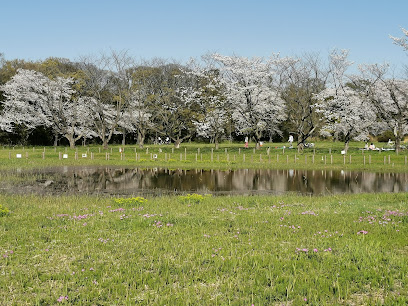 Todagahara Nature Regeneration Area