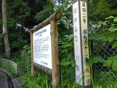 桜井谷窯跡群須恵器生産遺跡 (2-19窯跡)
