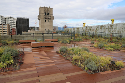 Rooftop Garden
