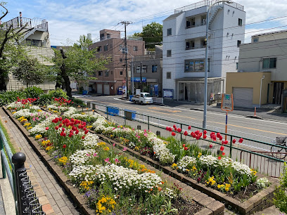 Miyagaya Park