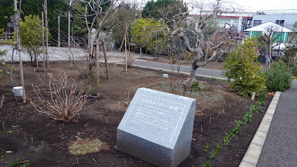 福蔵院ルンビニー庭園