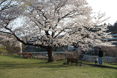 Katahira Park