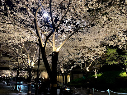 Momijigawa Kyūan-bashi Park