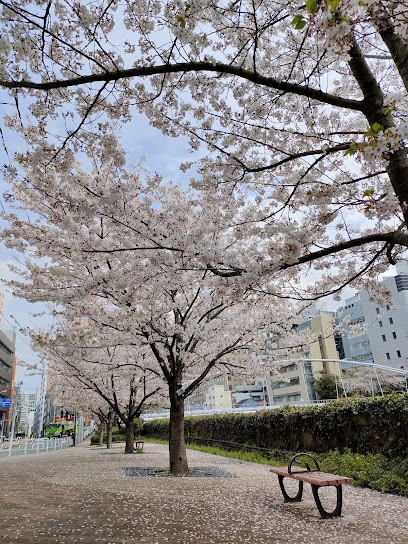 Hakozakigawa Daiichi Park
