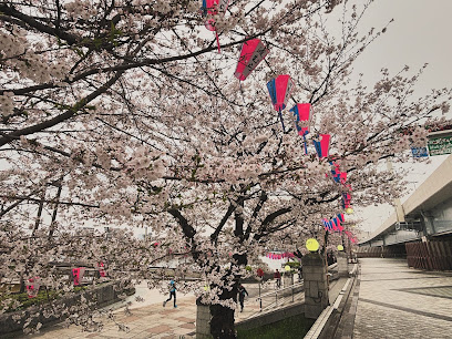 隅田川・桜橋への坂道