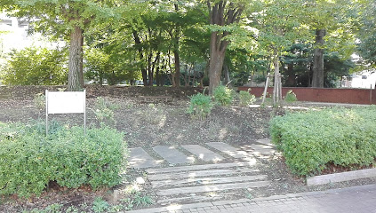 Icho Park