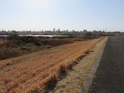 旧坂川の碑