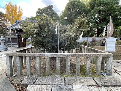 豊臣秀吉公 御手植えの柊