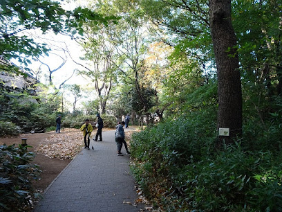Mejiro Woods