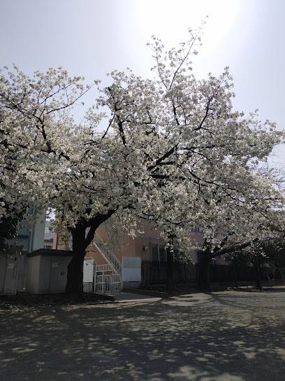 Tobe Park #1