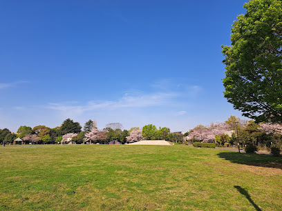平和の森公園 草地広場