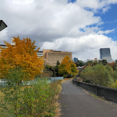 Hyojogawara Park