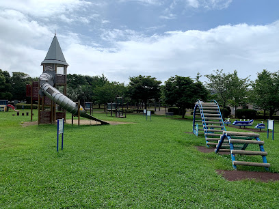 Koto City Wakasu Park