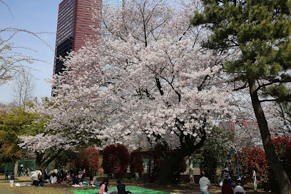 Kamezuka Park