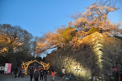 Remains of the Minami-maru