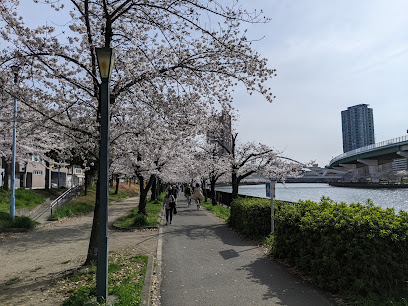 Kemasakuranomiya Park