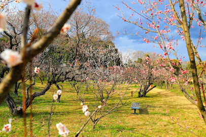 Botanical Garden, Osaka Metropolitan University