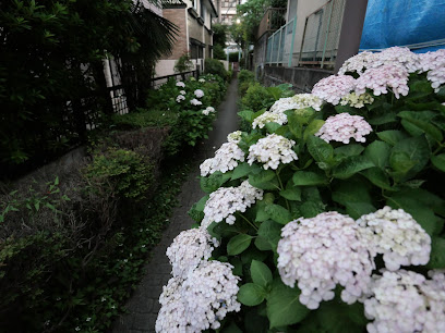 谷戸前川緑道