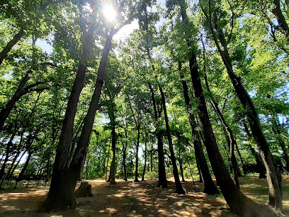 碧山森緑地保全地域