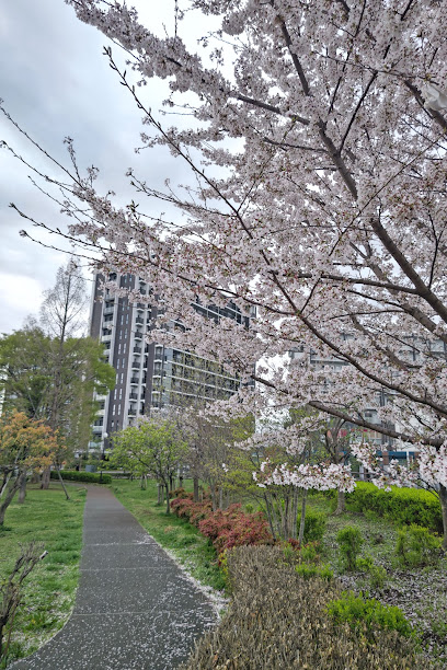 Suzuyanishi Park
