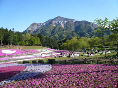 Hitsujiyama Park