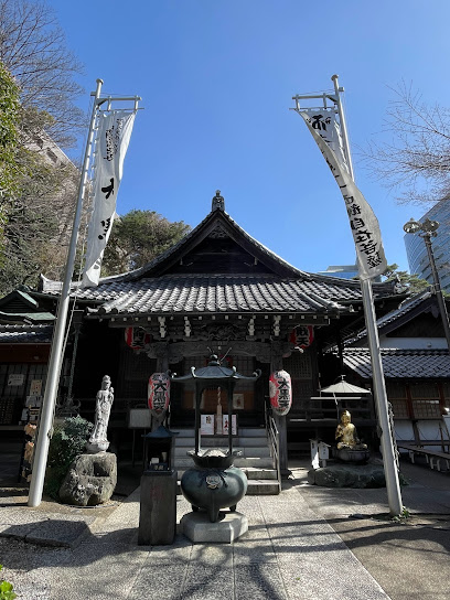 大圓寺 薬師如来