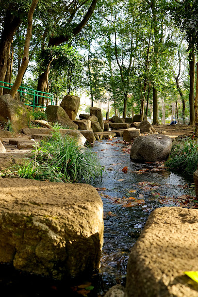 後谷公園 徒渉池