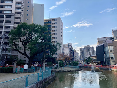 霊験の大楠