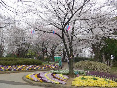 Hydrangea Road
