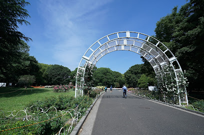 Rose Garden