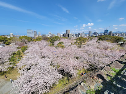 Maizuru Park