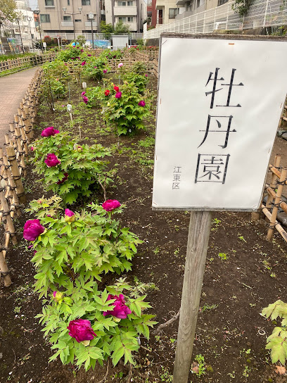 Botancho Park