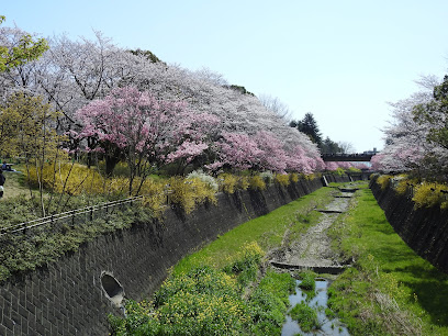 Flowering Tree Garden