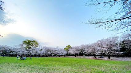 Warabi city Park