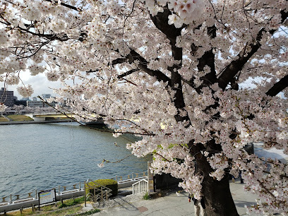 Sumida River