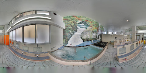 Daiichi Sagami-yu