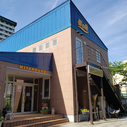 Miyako no Yu onsen