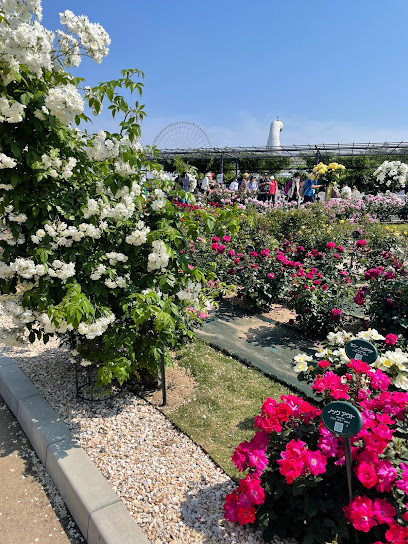 Heiwa-no-Baraen (Rose Garden for Peace)