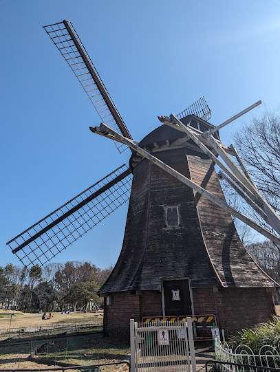 Dutch windmill