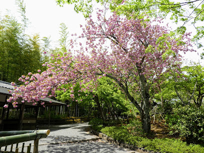 Garden of Hundred Flowers