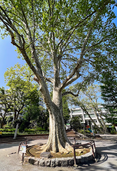 Yotsuya-mitsuke Park
