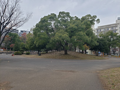 Tanmachi Park