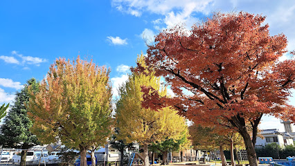 Igoryo Park